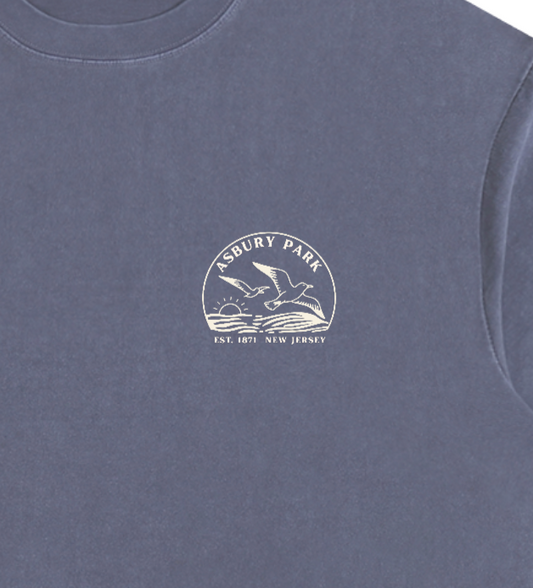 Seagull Sunset Vintage Oversized Shirt