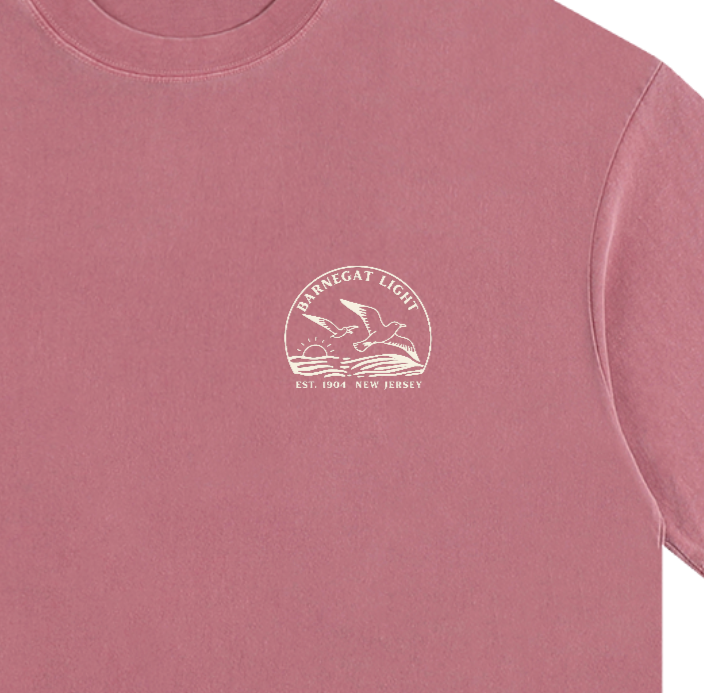 Seagull Sunset Vintage Oversized Shirt