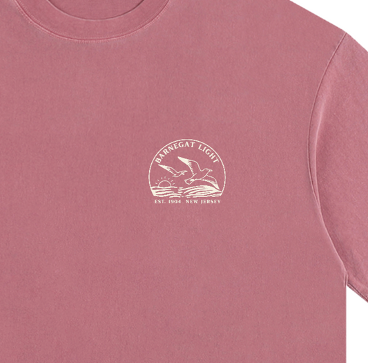 Seagull Sunset Vintage Oversized Shirt