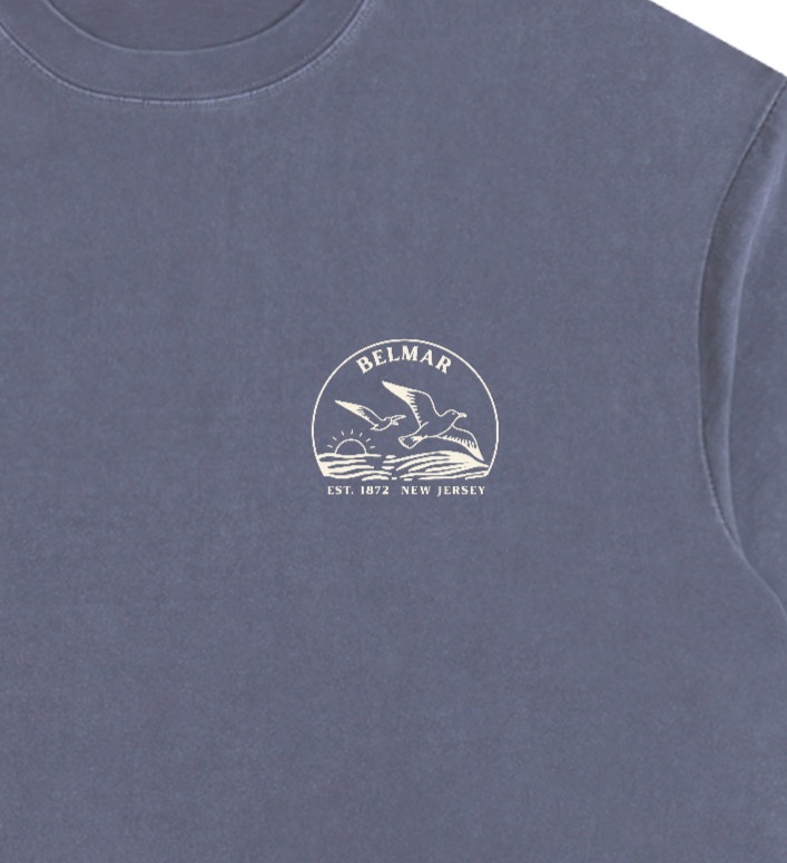 Seagull Sunset Vintage Oversized Shirt
