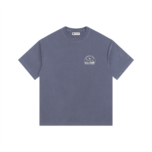 Seagull Sunset Vintage Oversized Shirt