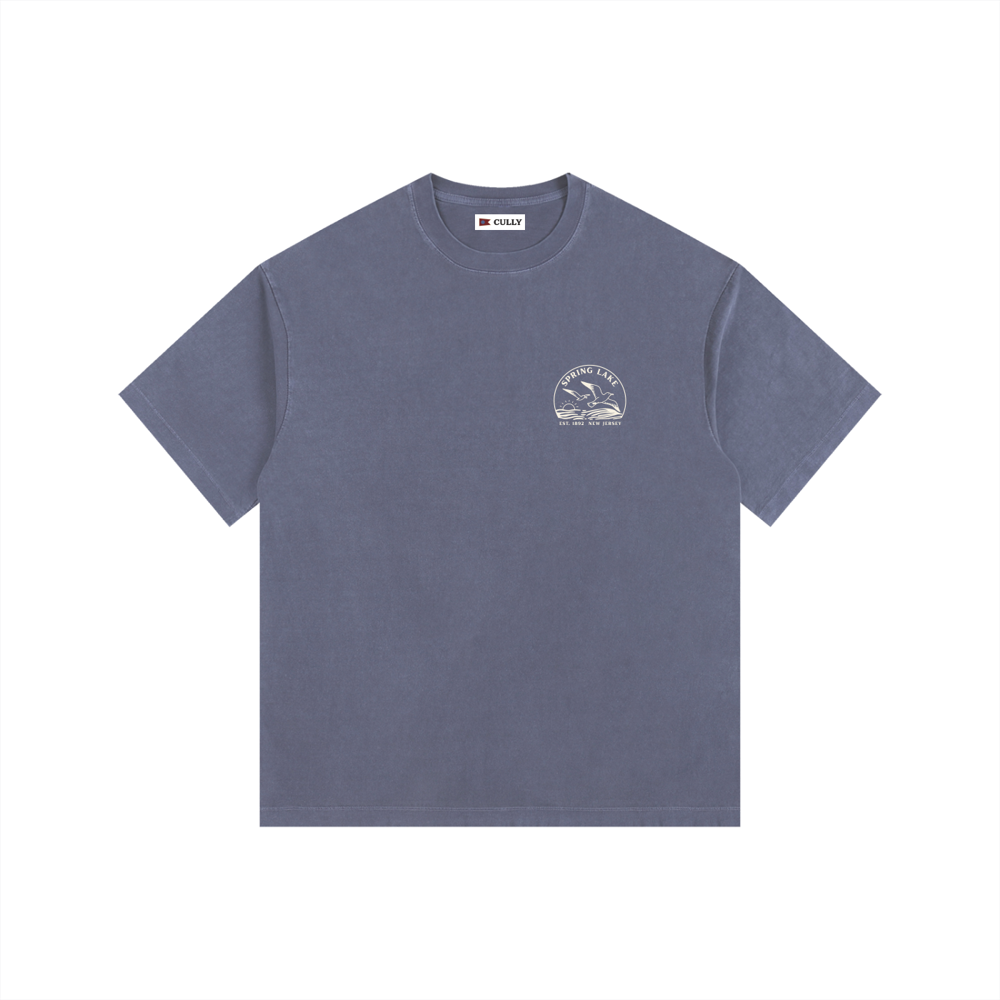 Seagull Sunset Vintage Oversized Shirt