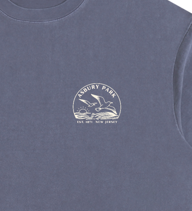 Seagull Sunset Vintage Oversized Shirt