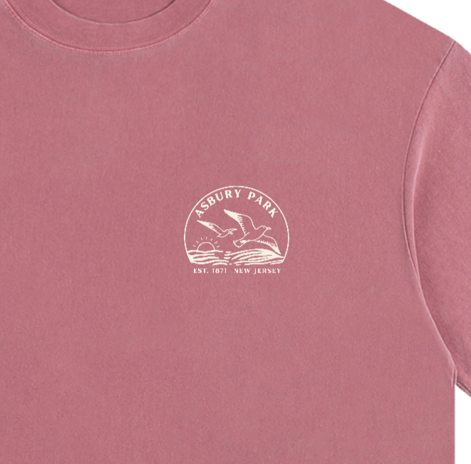 Seagull Sunset Vintage Oversized Shirt