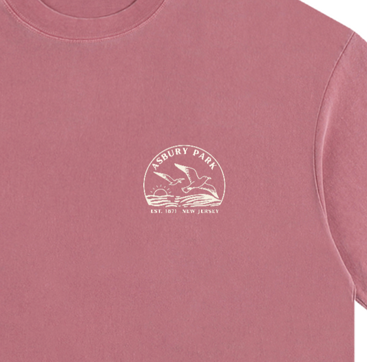 Seagull Sunset Vintage Oversized Shirt