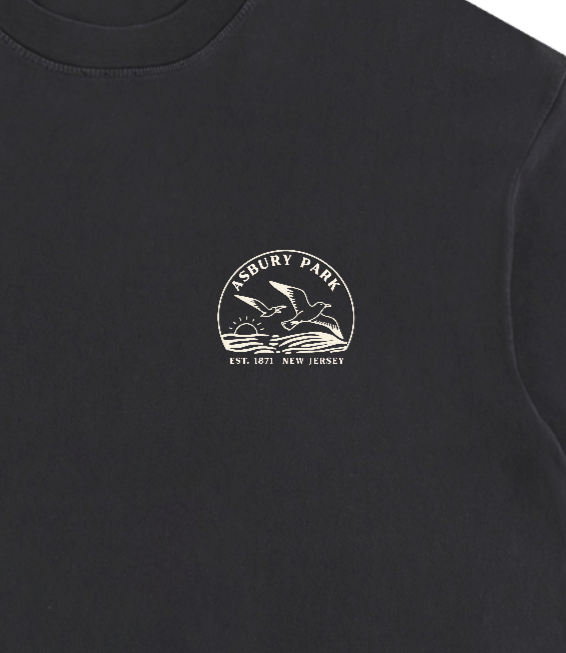 Seagull Sunset Vintage Oversized Shirt