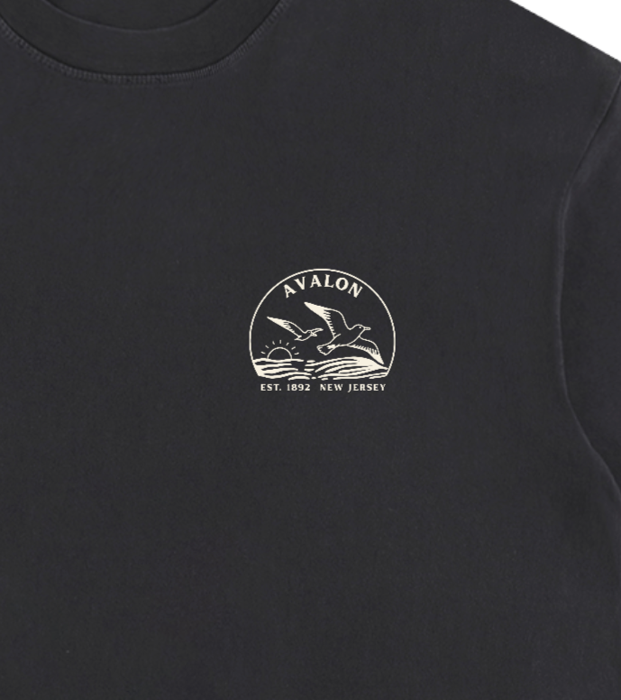 Seagull Sunset Vintage Oversized Shirt