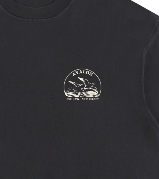 Seagull Sunset Vintage Oversized Shirt