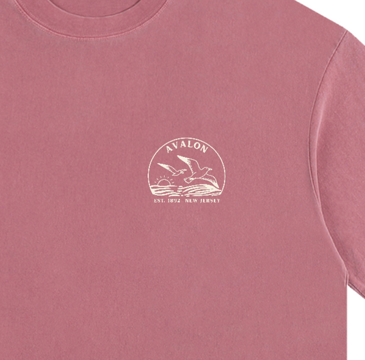 Seagull Sunset Vintage Oversized Shirt