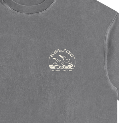 Seagull Sunset Vintage Oversized Shirt