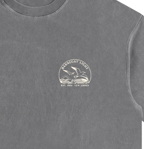 Seagull Sunset Vintage Oversized Shirt