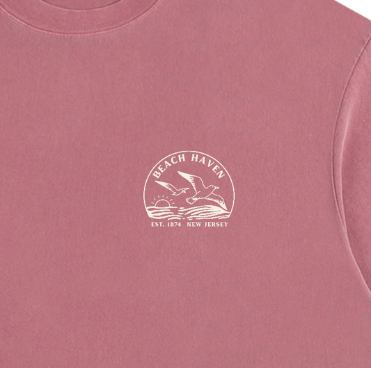 Seagull Sunset Vintage Oversized Shirt