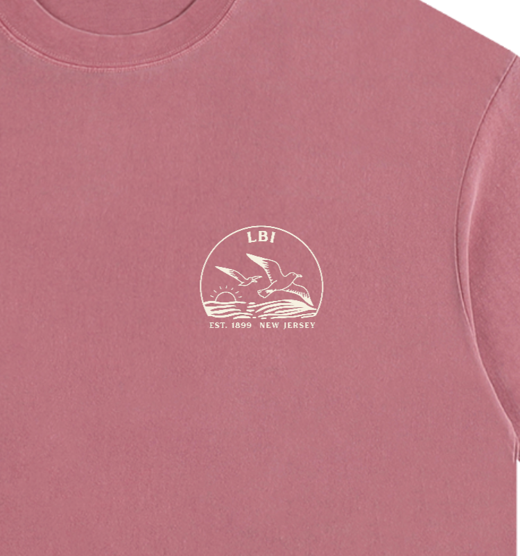 Seagull Sunset Vintage Oversized Shirt