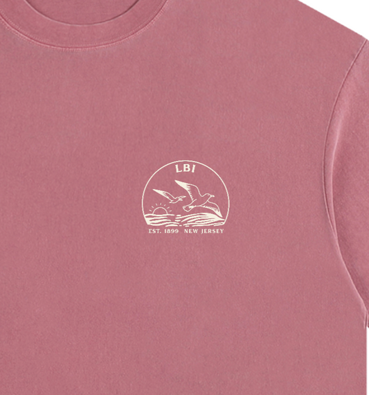 Seagull Sunset Vintage Oversized Shirt