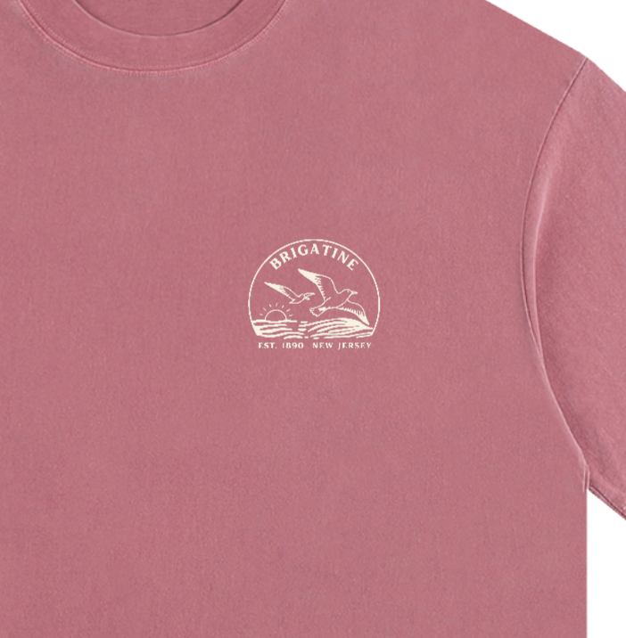 Seagull Sunset Vintage Oversized Shirt