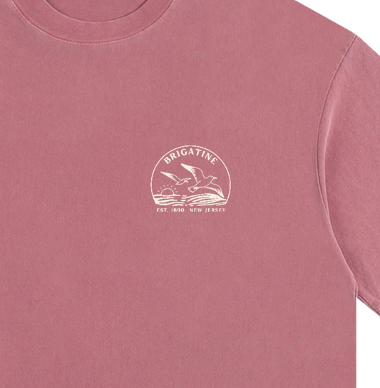 Seagull Sunset Vintage Oversized Shirt