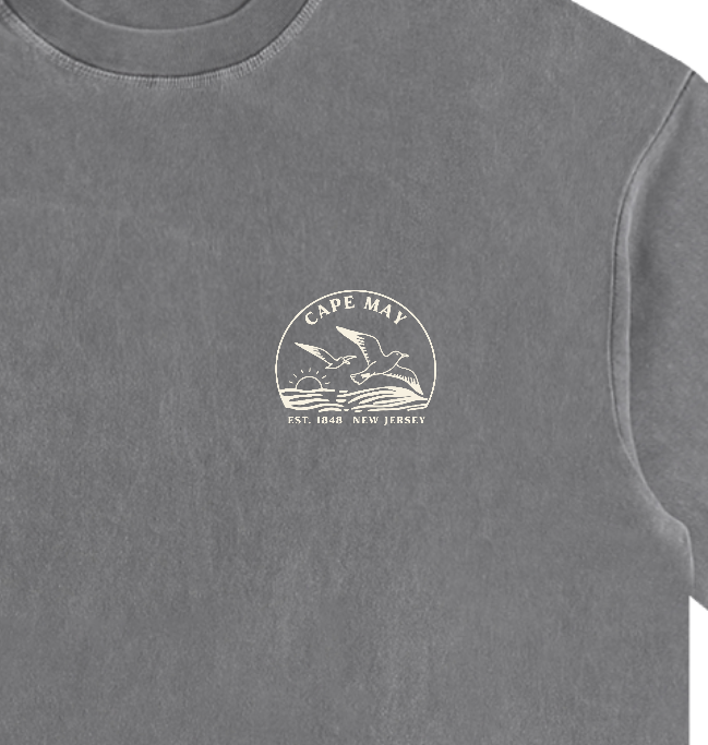 Seagull Sunset Vintage Oversized Shirt