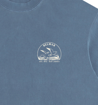 Seagull Sunset Vintage Oversized Shirt