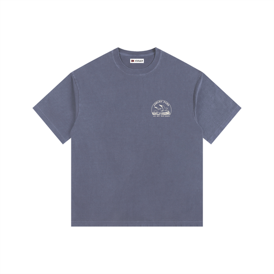 Seagull Sunset Vintage Oversized Shirt