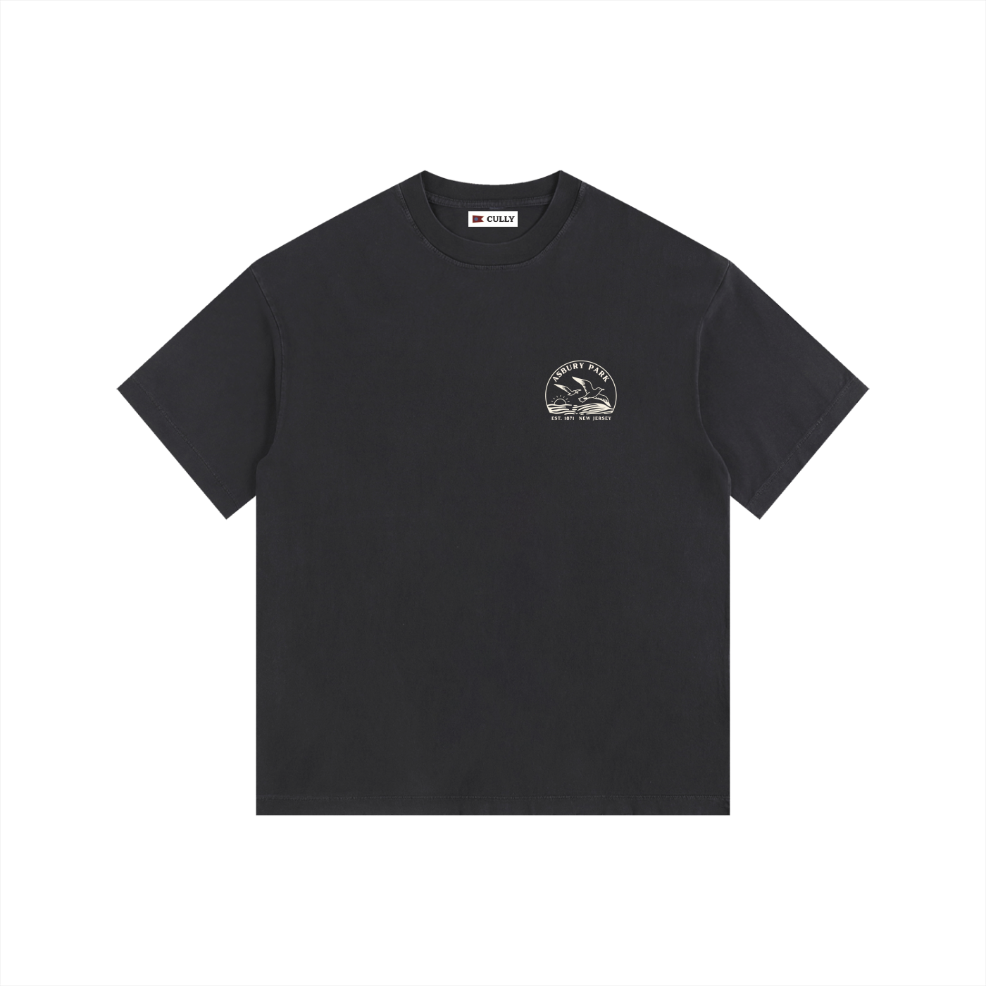 Seagull Sunset Vintage Oversized Shirt
