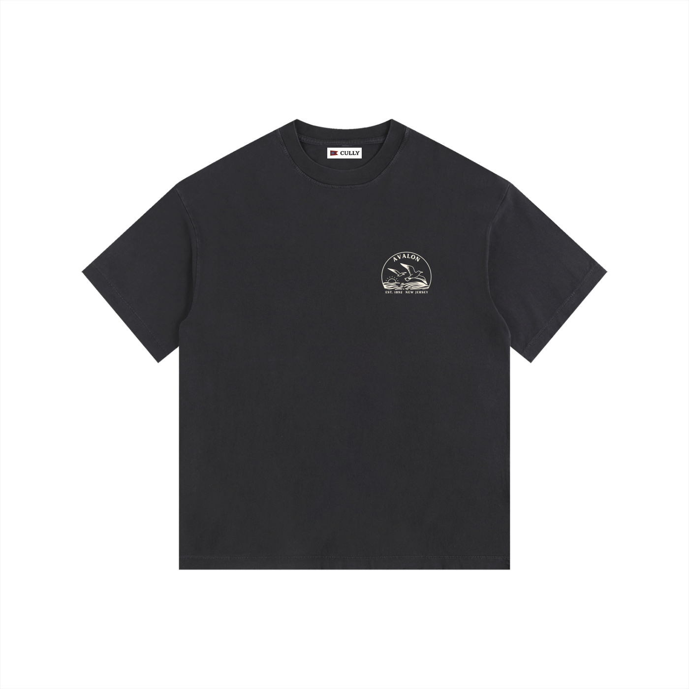 Seagull Sunset Vintage Oversized Shirt
