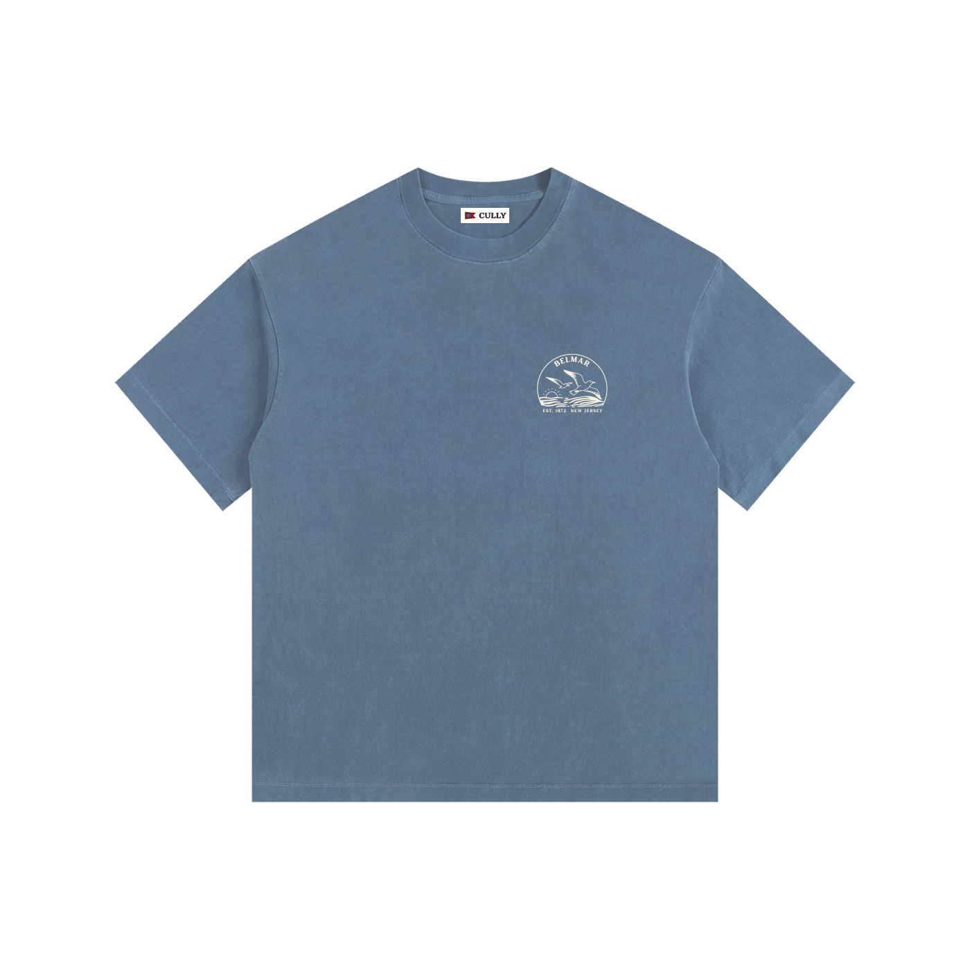 Seagull Sunset Vintage Oversized Shirt